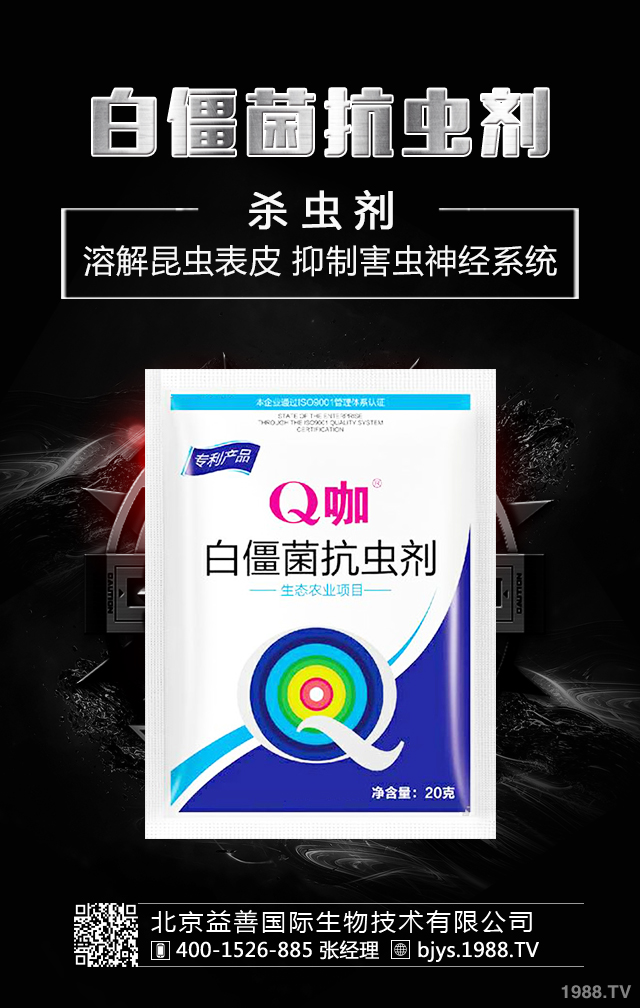 �¼����x����ô�������¼����x�����μ��\