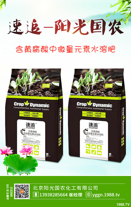     ���c������������@�r���Ƿ�Ӱ������¶��@�������2019-9-241-(238)