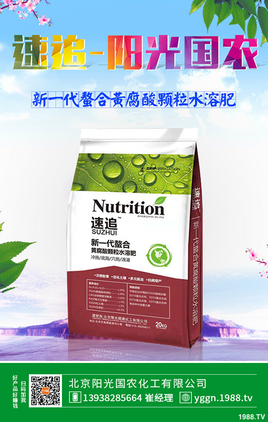 2019年9月24日今日最新一銨市場(chǎng)價(jià)格行情日?qǐng)?bào)