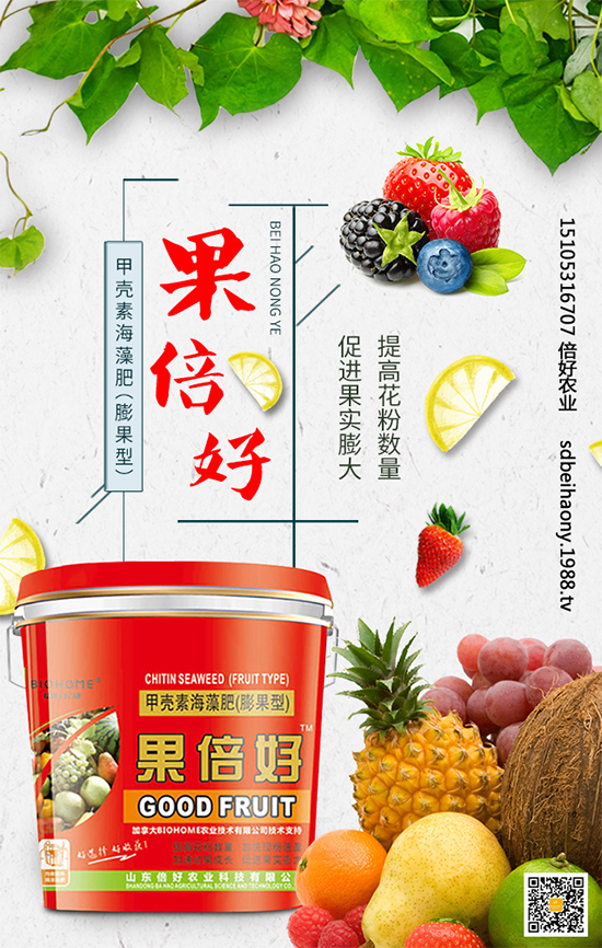 ʥŮ��ʲô�r(sh��)�g�Nֲ��ʥŮ���Nֲ���g(sh��)Ҫ�c(di��n)����Щ��