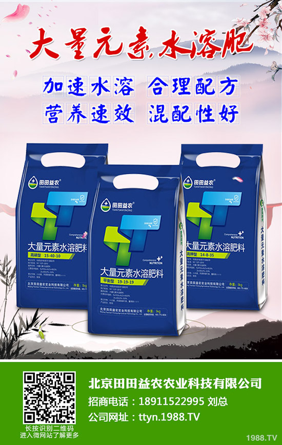 ���տ���ô�N�����տ��߮a(ch��n)�������g(sh��)����Щ��