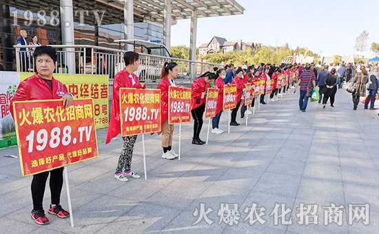     2019�L��ֲ������1988.TV�����o̎�����������������ݲ��ɓ���