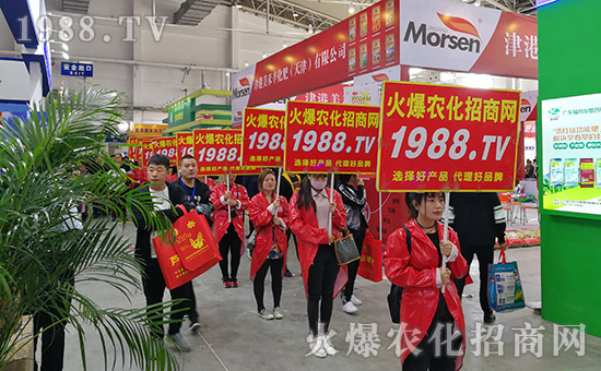 ���r(n��ng)���W(w��ng)2019�L��ֲ�����r(n��ng)�Y���[����(zh��n)���x��