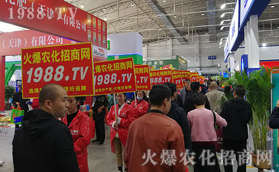 ���r(n��ng)���W(w��ng)2019�L��ֲ�����r(n��ng)�Y���[����(zh��n)���x��