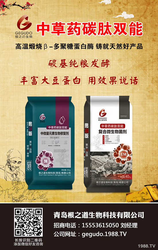     ����ʮ����ʲô����ע�����(xi��ng)�����ӹ���������10�¹���ָ��(d��o)���h��