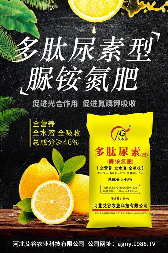 火龍果幾月份種植，火龍果的種植前景怎么樣？