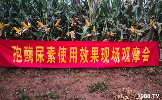 �ٿ���С�����a(ch��n)1471��pø����ȫ�����������߮a(ch��n)������(d��ng)֮�o����