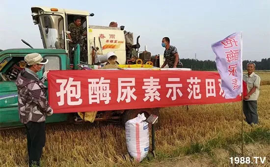 �ٿ���С�����a(ch��n)1471��pø����ȫ�����������߮a(ch��n)������(d��ng)֮�o����