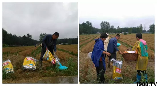 �ٿ���С�����a(ch��n)1471�����pø����ȫ�����������߮a(ch��n)������(d��ng)֮�o����