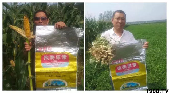 �ٿ���С�����a(ch��n)1471��pø����ȫ�����������߮a(ch��n)������(d��ng)֮�o����