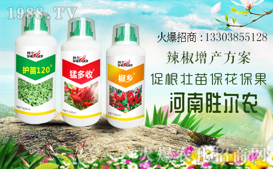     ���r(n��ng)���W(w��ng)ϲӭ�����������τ٠��𱬁��u�����v�ɹ���