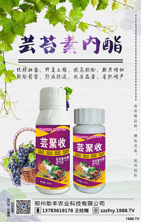 �J�������ժ�ģ��J����ժ����ʲô��̎��