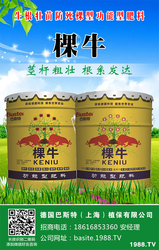 ���[���ʩ�ʣ����[�ƌW(xu��)������ʩ�ʷ�����