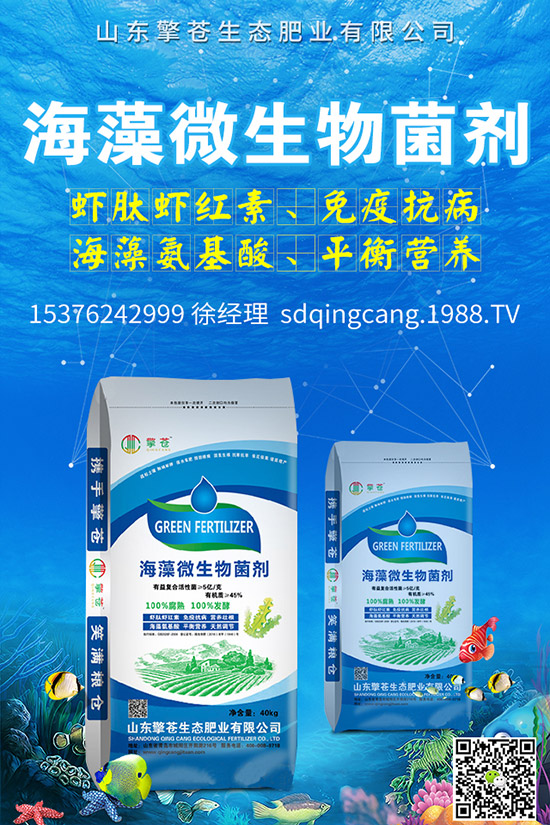     �ﶬ�}����ô�Nֲ���ﶬ�}�����N�r(sh��)�g�����g����������