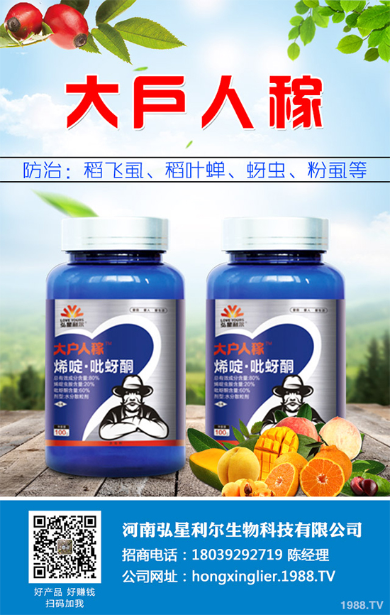 ���{���x���r��