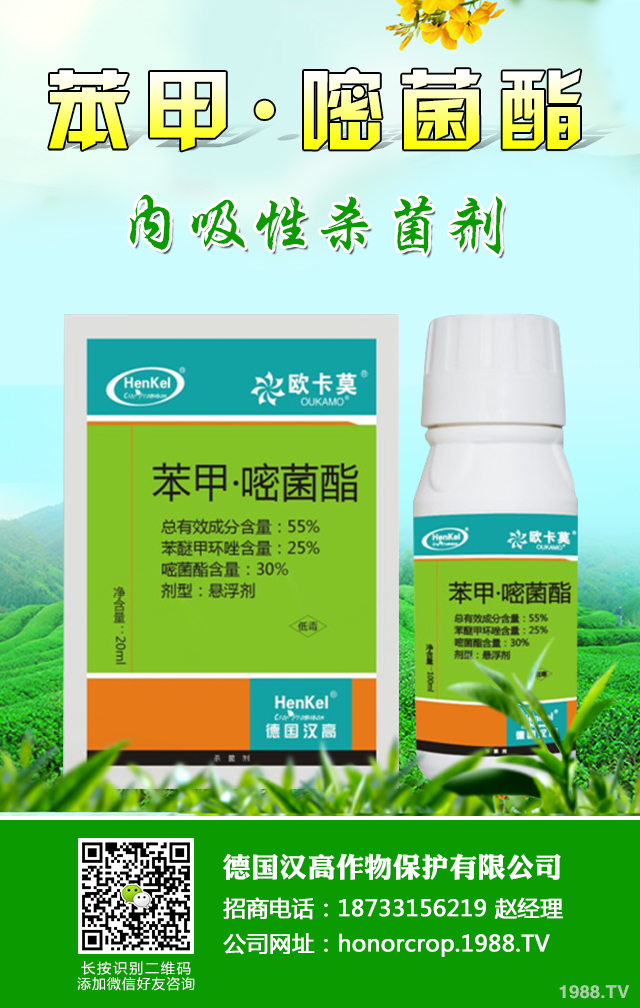 �۲������Բ������ӷ������۲������Բ������μ���