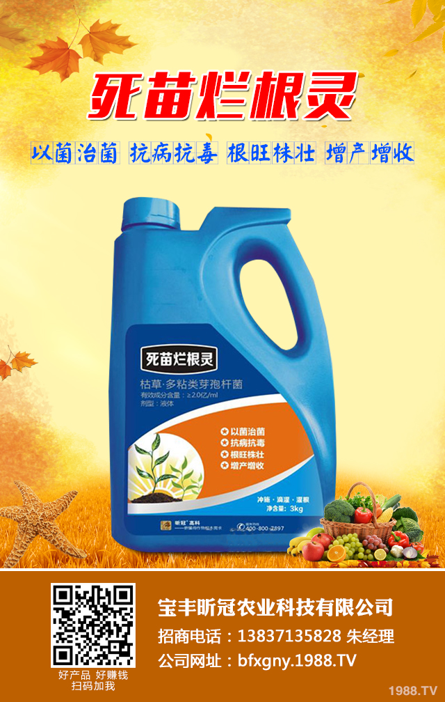 ���㶹������ô�k�����㶹������Ч���μ���