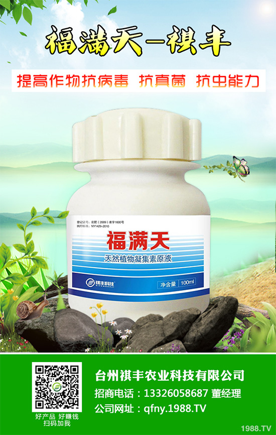 ���n������Щ��̎����Ҋ(ji��n)�n�ĵ�����