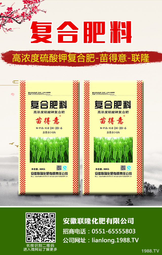 �K�F�~�S�݆��}��ô��Q���K�F�~�S�ݽ�Q����