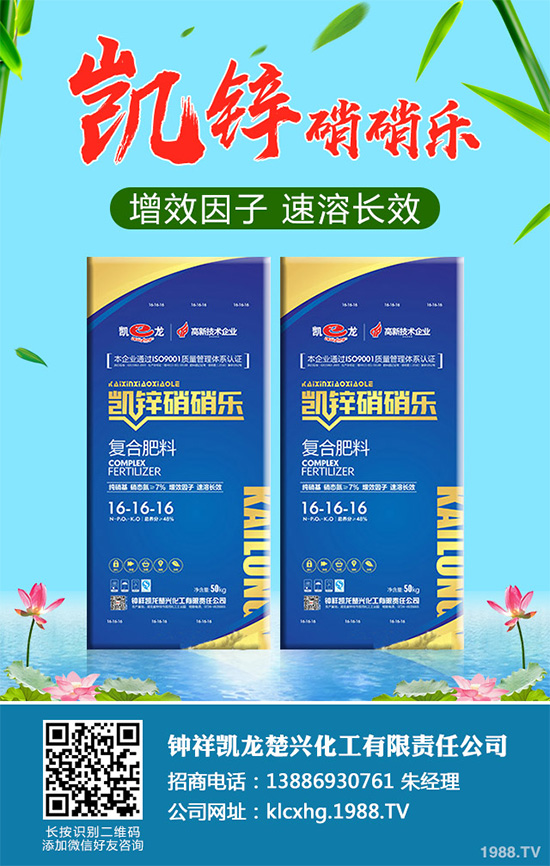     �n�ĺڰ߲�����ΰl(f��)����������ЩΣ�����n�ĺڰ߲����δ�ʩ