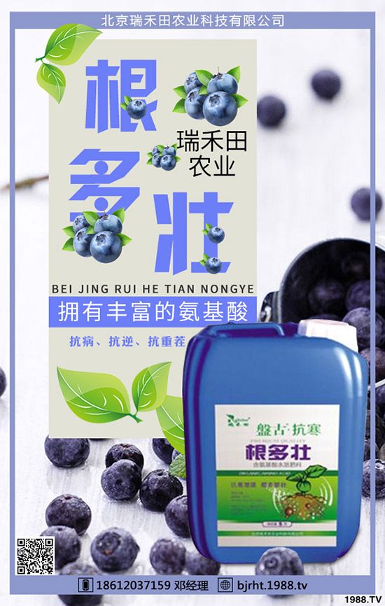 ���t��ʲô�r�g�Nֲ�����t���Nֲ����