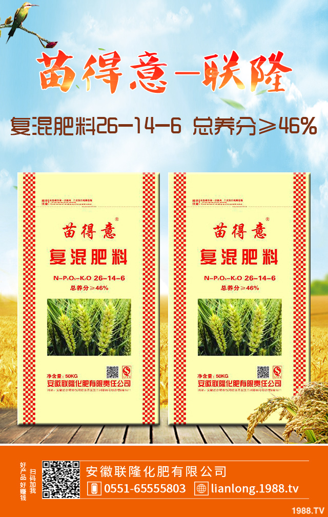 小麥常見弱苗如何防治？小麥弱苗防治技巧