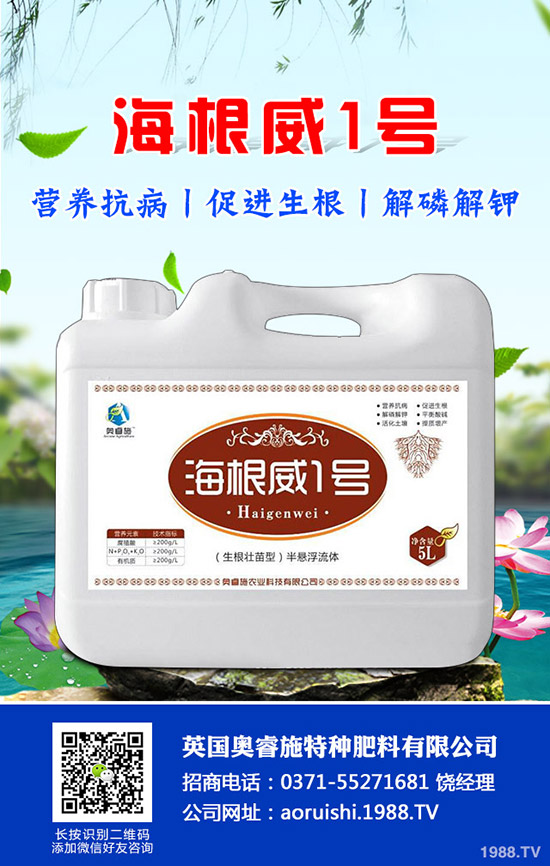 �����^����Щ��̎�����^�ĠI(y��ng)�B(y��ng)�r(ji��)ֵ��ʳ�ý��ɣ�