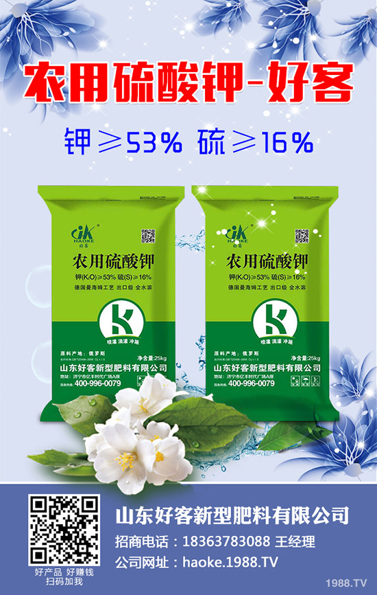 黃瓜什么時(shí)候種植?黃瓜高產(chǎn)種植技術(shù)有哪些?