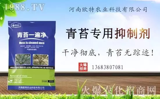 �������̦���������������Ƀ�����̦�oۙ��