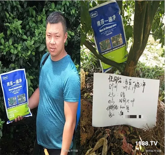 �������̦���������������Ƀ�����̦�oۙ��