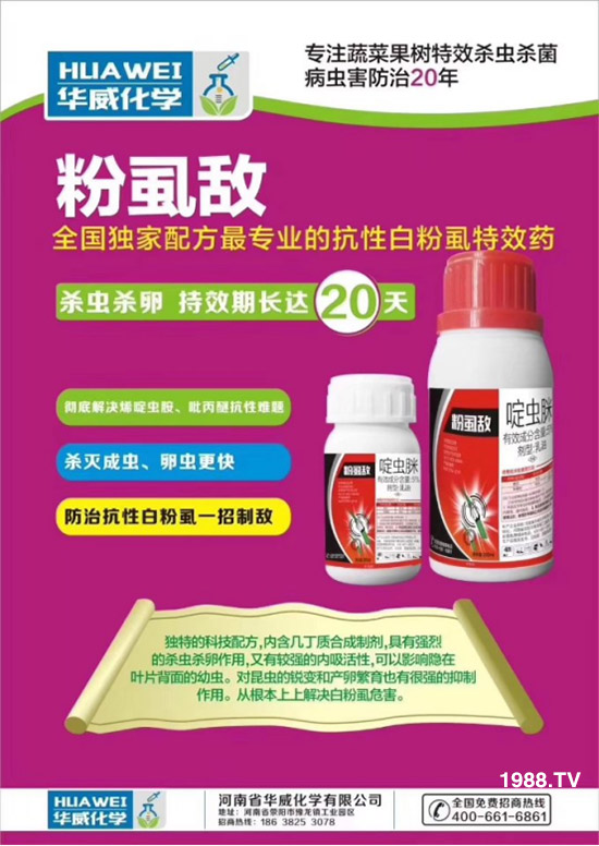     ���θ߿��԰׷�ʭ����?d��)��x(ch��ng)����һ���Ɣ�