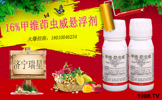 ����(j��)�����ǡ�ȫ�w�T����ףȫ��(gu��)��(j��ng)�N�����w�������f(w��n)��������