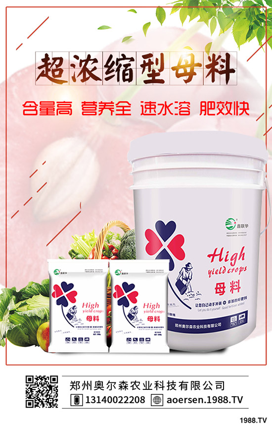 ���W��ɭ�r(n��ng)�I(y��)��ף������µ�һ�����Ҹ����M���H�Қg����