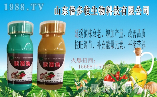  ��ɽ�|�����ա�ף������µ�һ����ؔԴ�L�L�������d¡��