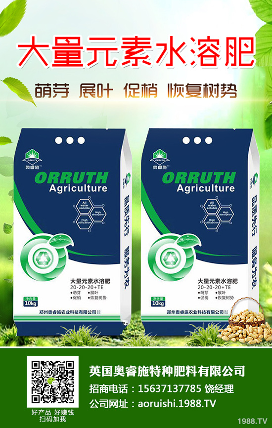 黑玉米如何種植？黑玉米的高產(chǎn)栽培技術