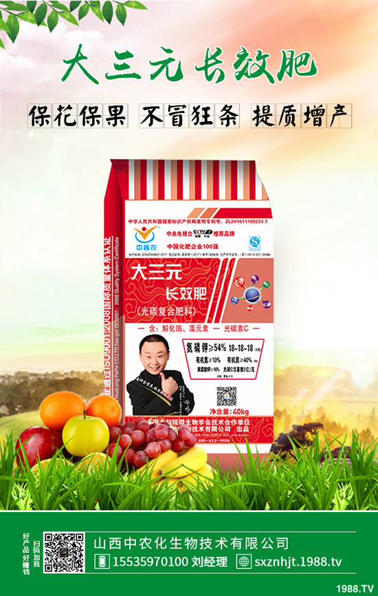     �����紺������������磿�����紺�����ϷNֲ������������Щ��