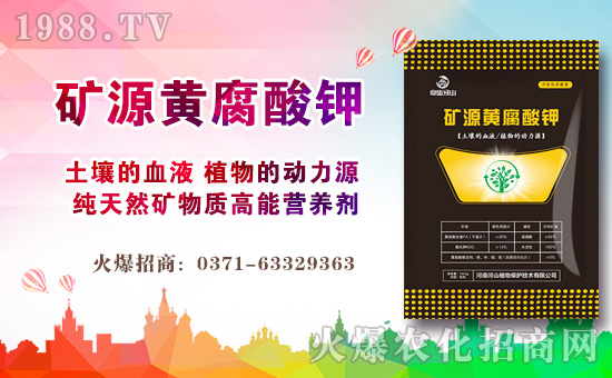 ����ɽֲ�ףԸ�V��(j��ng)�N�����т����µ�һ�����w�������H�Қg����