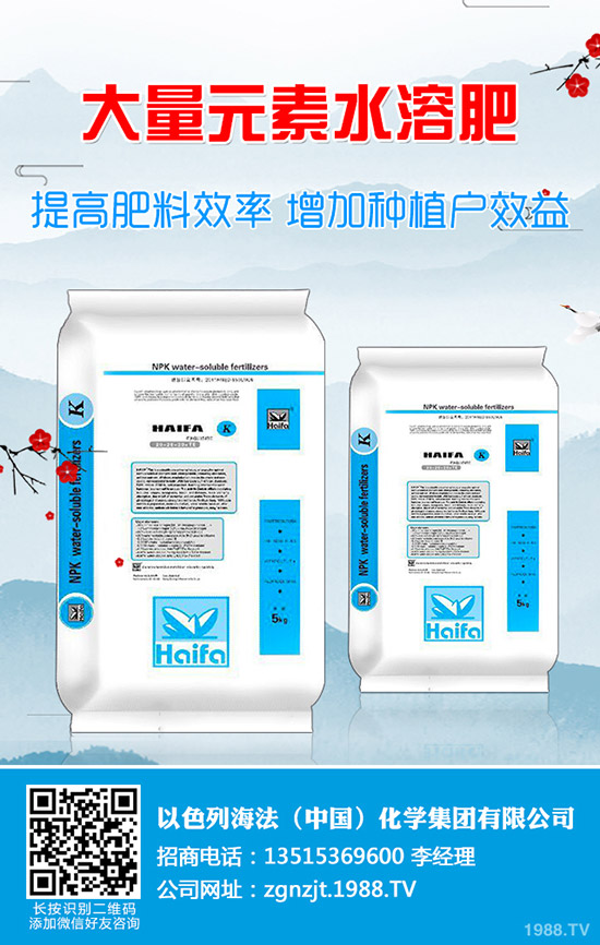     2020����(ji��)���g��⛷�����������1��31�ս���⛷ʃr�������