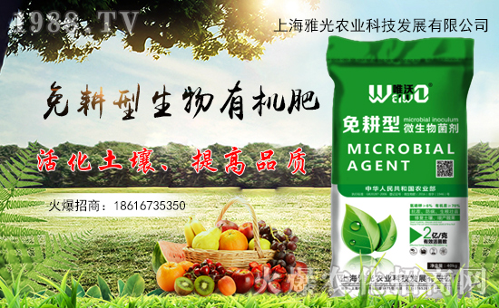 ���Ϻ��Ź⡿ף�������옷��ؔ(c��i)Դ�L�L��������������\(y��n)��(d��ng)�^��