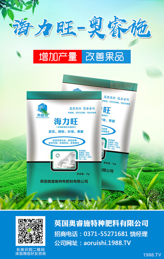 臍橙種植對(duì)環(huán)境有哪些要求？臍橙種植要點(diǎn)有哪些？