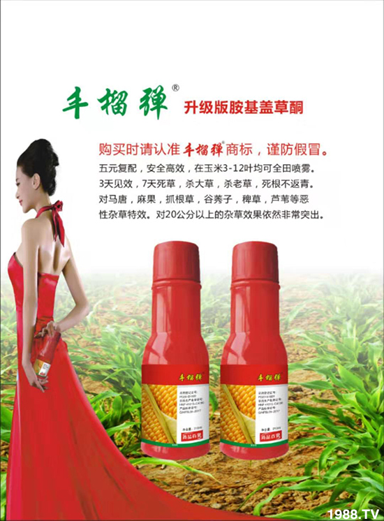 �����ϼ�������ף�����������ͥ���M���f��������