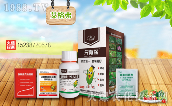 ���������ף���������´��옷(l��)�������d¡���f(w��n)���������H�Ұ�����