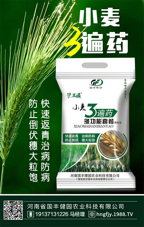 ����(gu��)�S���@��ף������µ�һ�������w�������f��������