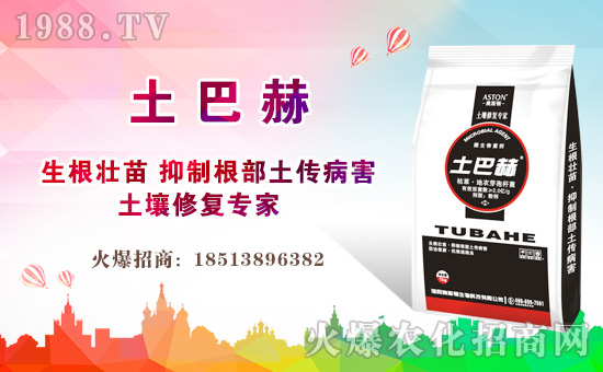     ����ӿ�³����ĺ����u�������������x�Ϛ����˷����P����ꖡ��҂���e�ɿ��Ȼ��2019��ӭ���˳�Mϣ����2020��ֵ���´�����֮�H���W˹�D����Ƽ����޹�˾��ȫ���������Ѱ�������ף������µ�һ����͚����飬���w��������ͥ��̩���f��������