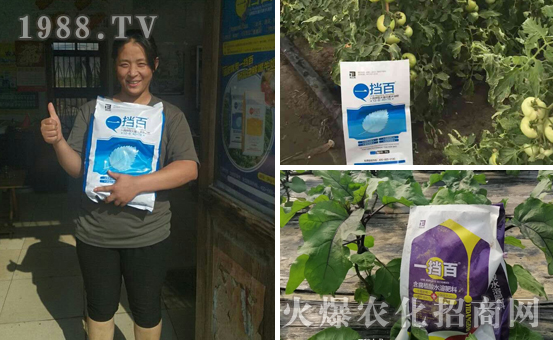 ���̩���ף���2020������옷��Ц�ڳ��_��ؔԴ�L�L��