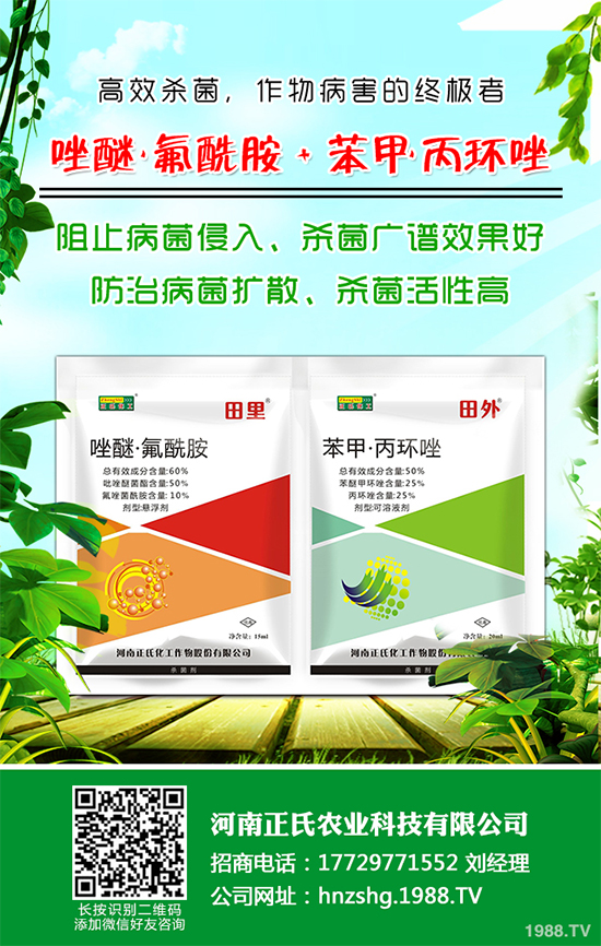     ʯ��τ��������r��