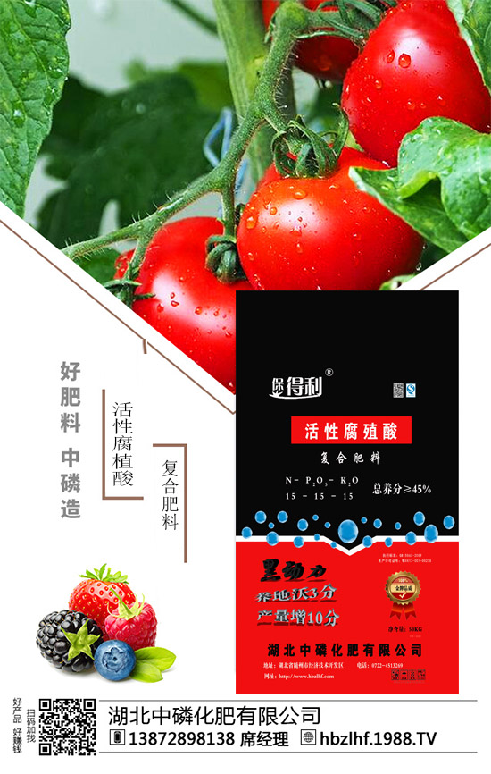 ���������׻��ʡ�ףȫ��(gu��)�������w������ǰ�����\���������M��