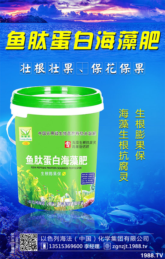 �۲˲���������ЩΣ����ԓ��η������۲˲�������Σ���c����