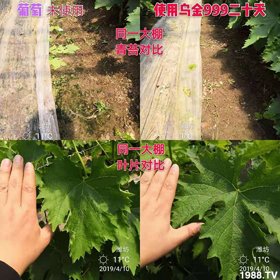 ���½���ɫ���B(t��i)��ȫ�w�T����ף�������ѣ�����옷���f��������ҹҹ�����X��