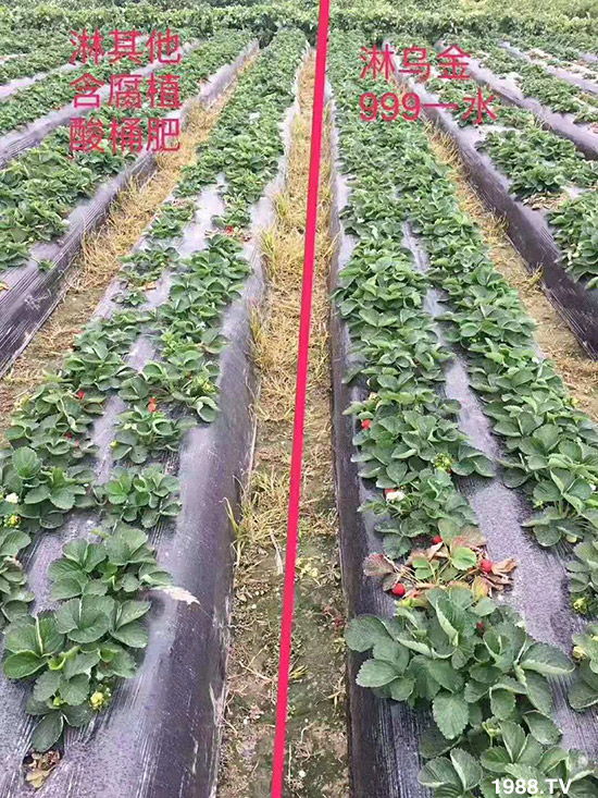 ���½���ɫ���B(t��i)��ȫ�w�T����ף�������ѣ�����옷���f��������ҹҹ�����X��